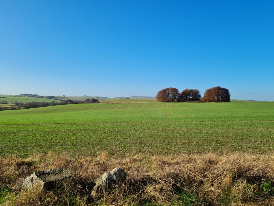 2021-11-22 61 Avebury.jpg