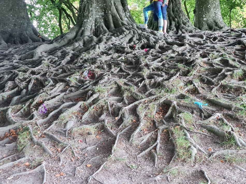 2022-09-19 45 Avebury Silbury West Kennet.jpg