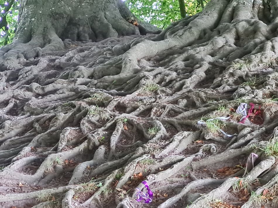 2022-09-19 46 Avebury Silbury West Kennet.jpg