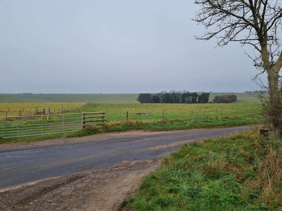 2021-11-23 03 Pewsey Downs.jpg