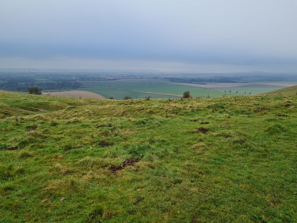 2021-11-23 05 Pewsey Downs.jpg