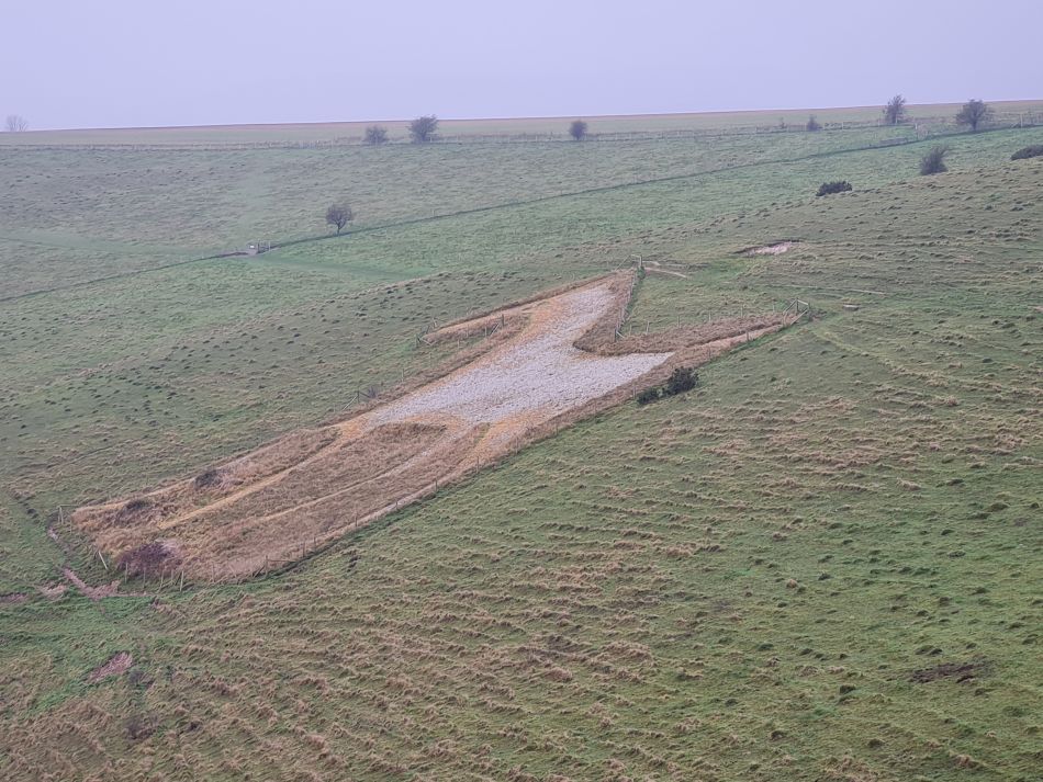 2021-11-23 06 Pewsey Downs.jpg