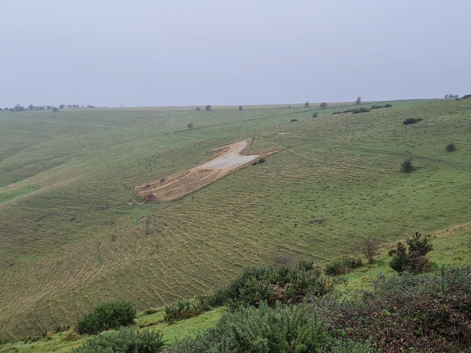 2021-11-23 08 Pewsey Downs.jpg