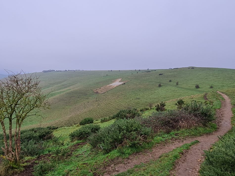 2021-11-23 09 Pewsey Downs.jpg