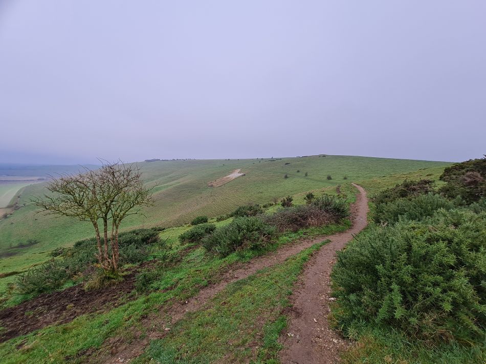 2021-11-23 10 Pewsey Downs.jpg