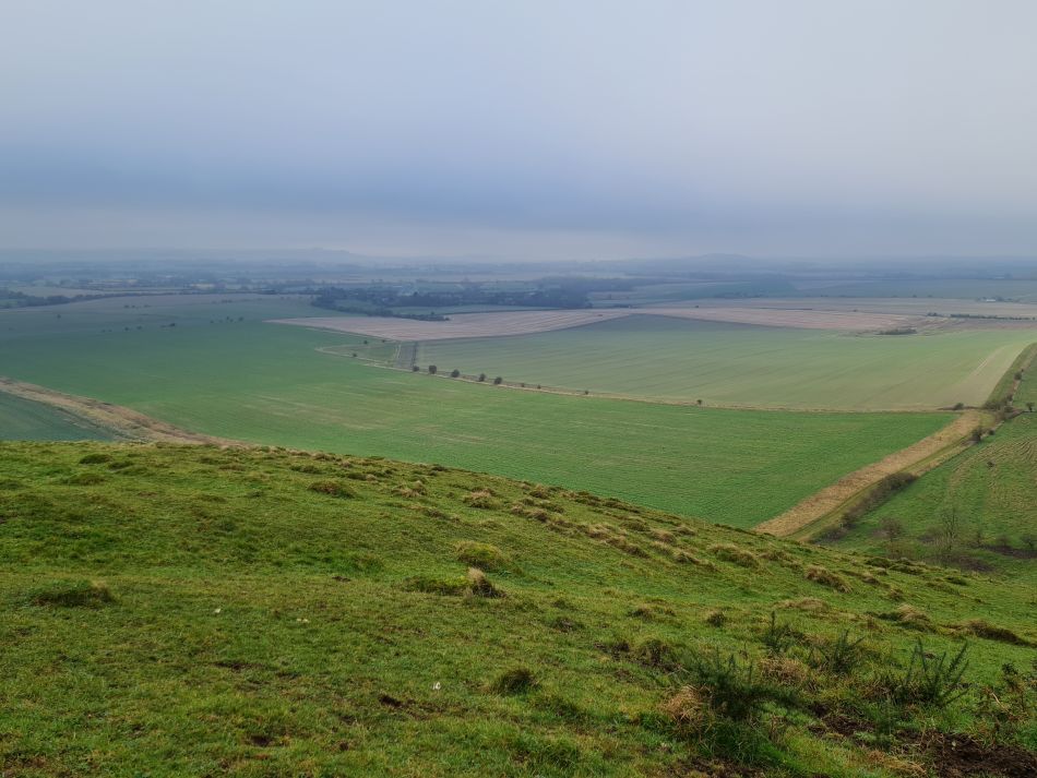 2021-11-23 11 Pewsey Downs.jpg