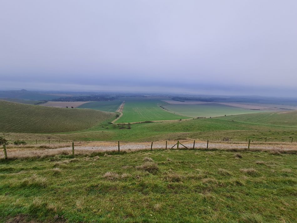 2021-11-23 12 Pewsey Downs.jpg