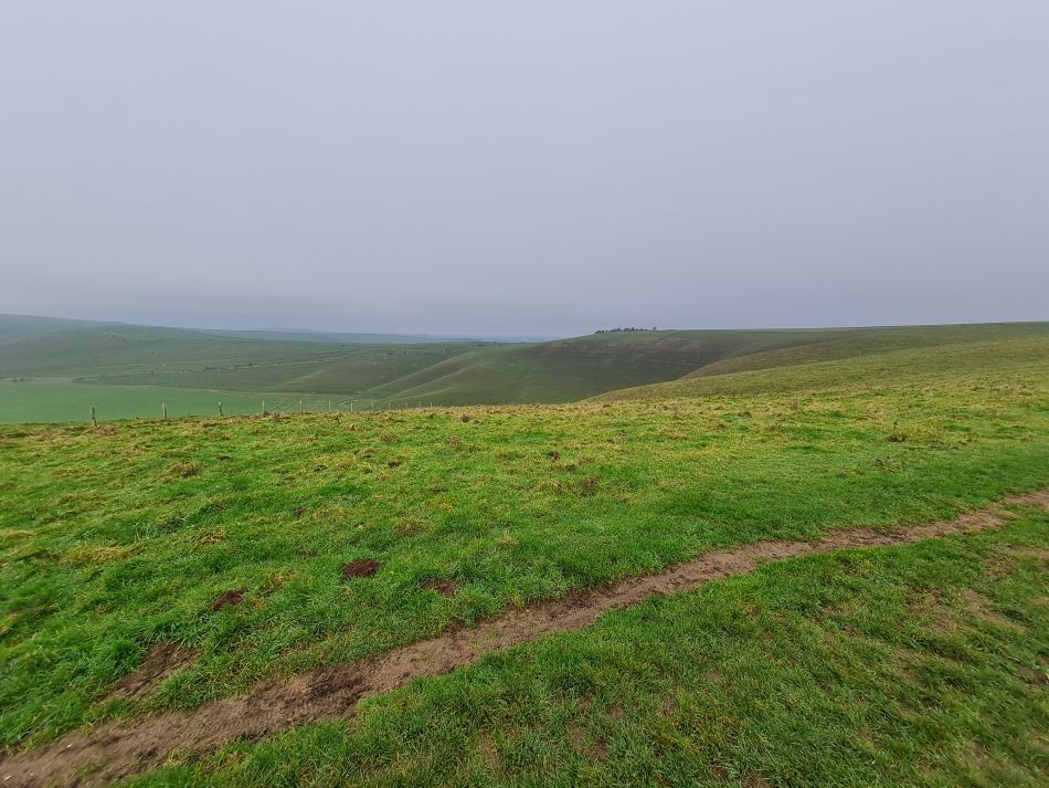 2021-11-23 13 Pewsey Downs.jpg