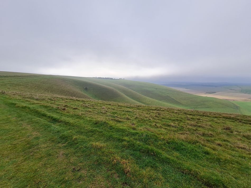 2021-11-23 14 Pewsey Downs.jpg