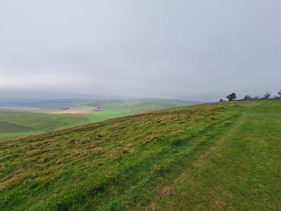 2021-11-23 16 Pewsey Downs.jpg