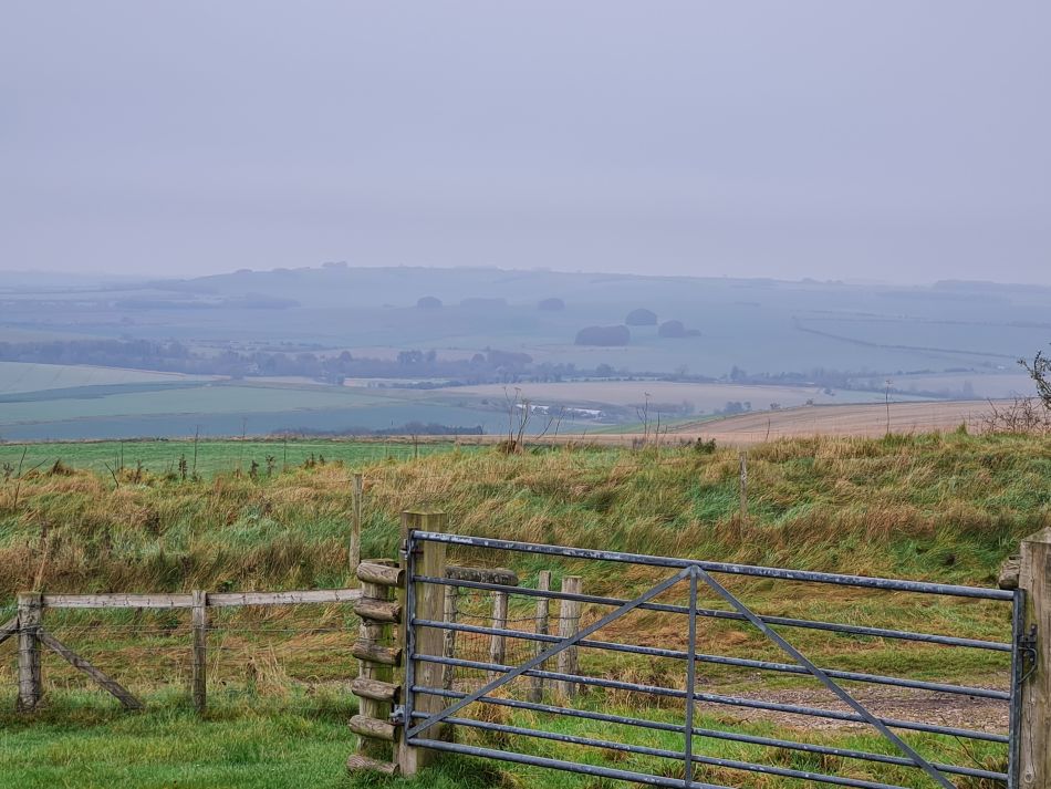 2021-11-23 17 Pewsey Downs.jpg
