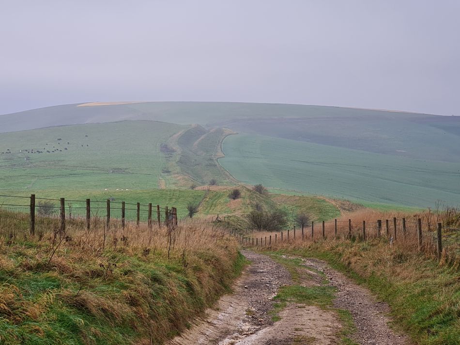2021-11-23 18 Pewsey Downs.jpg