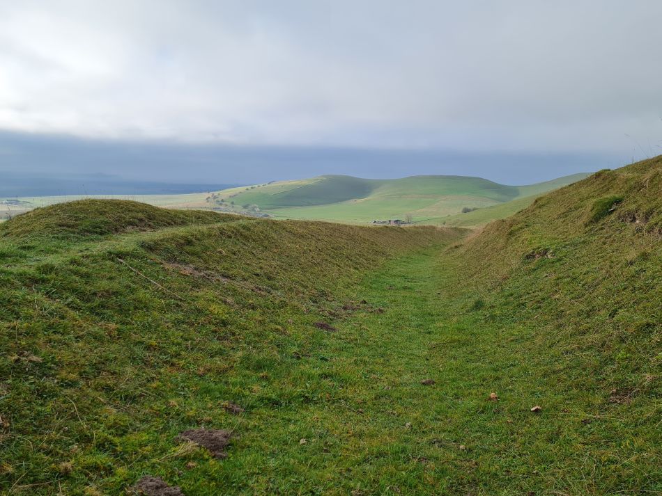 2021-11-23 19 Pewsey Downs.jpg
