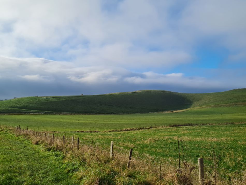 2021-11-23 20 Pewsey Downs.jpg