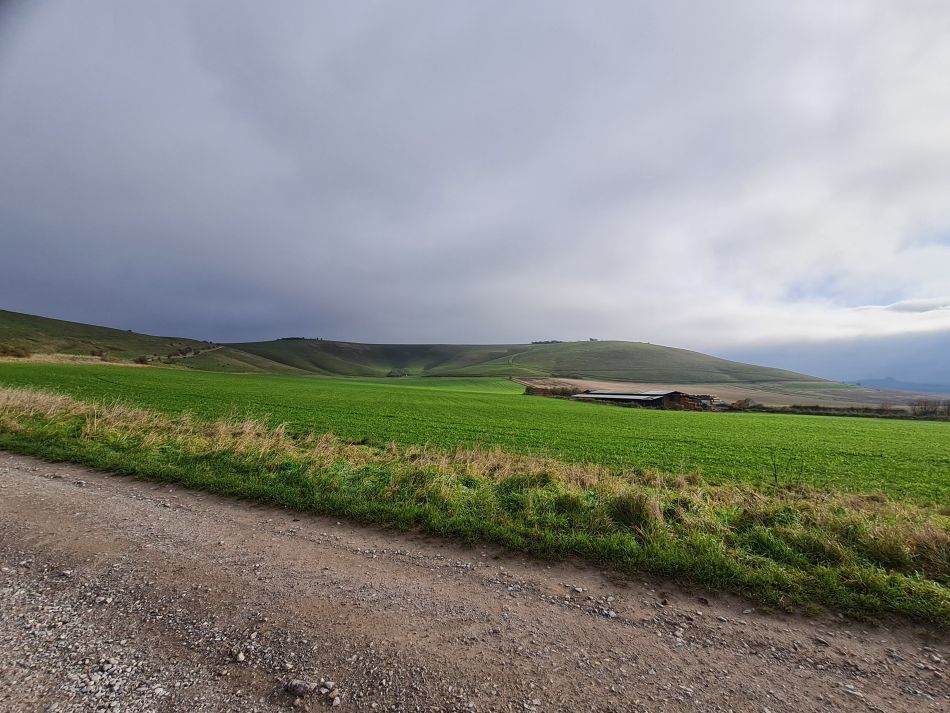 2021-11-23 21 Pewsey Downs.jpg