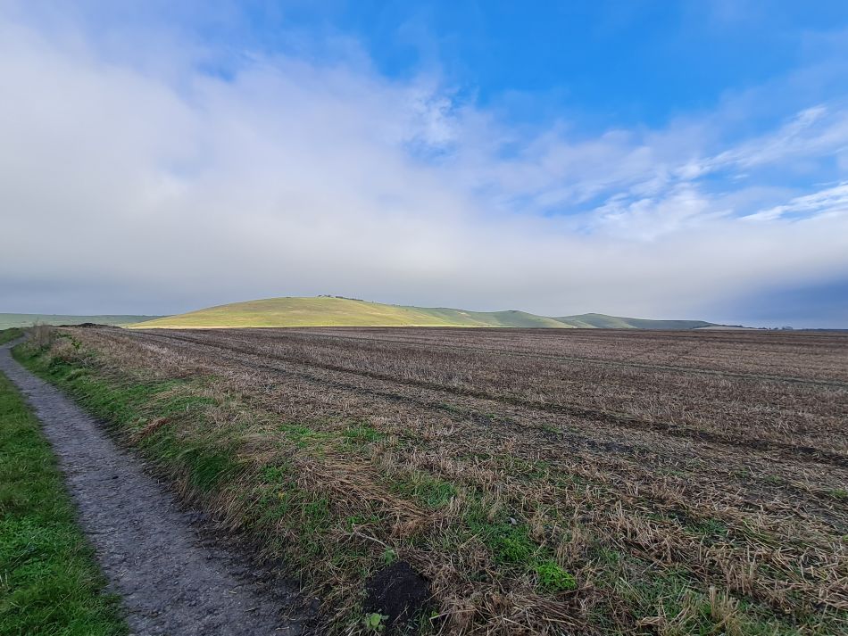2021-11-23 22 Pewsey Downs.jpg