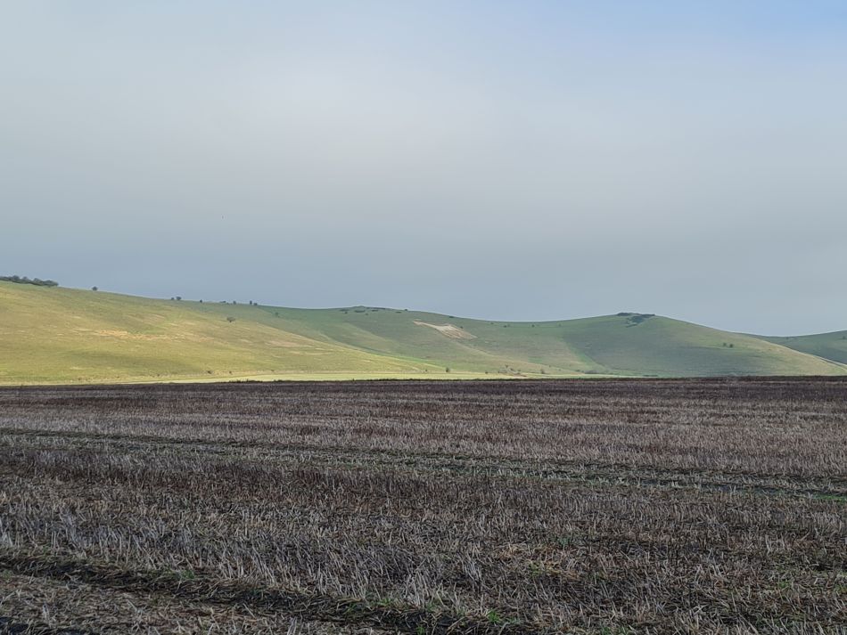 2021-11-23 23 Pewsey Downs.jpg