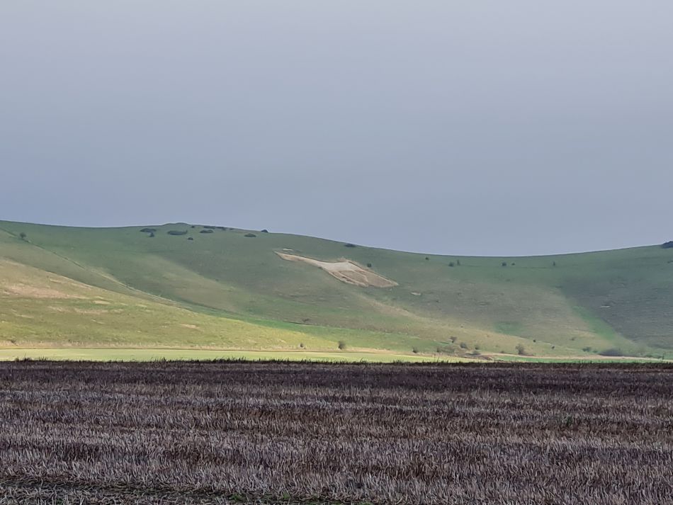 2021-11-23 24 Pewsey Downs.jpg