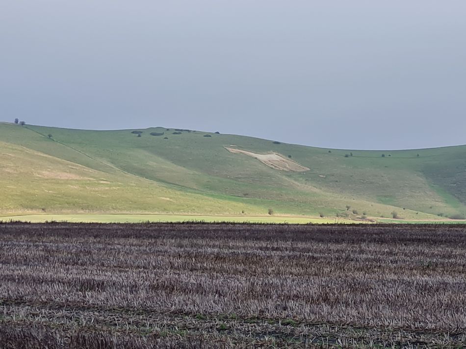 2021-11-23 25 Pewsey Downs.jpg