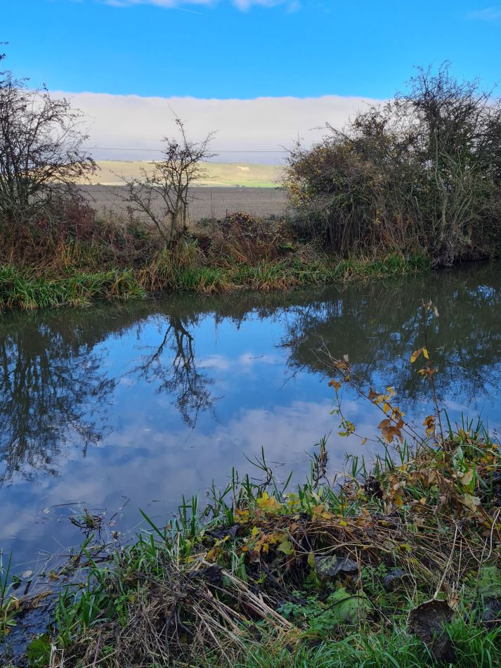 2021-11-23 29 Pewsey Downs.jpg