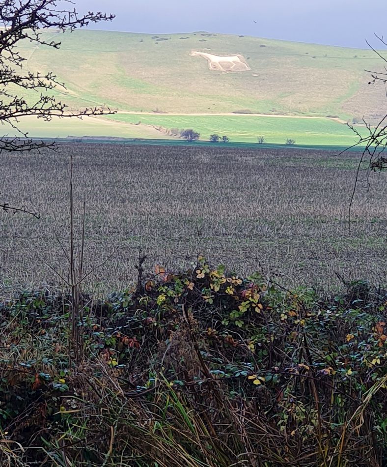 2021-11-23 30 Pewsey Downs.jpg