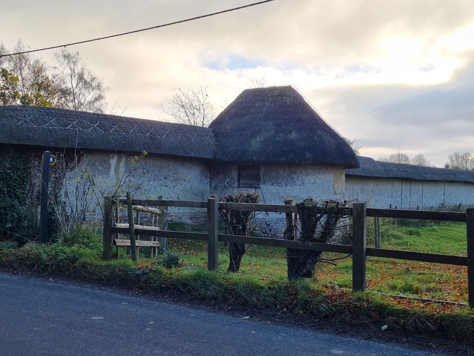 2021-11-23 44 Pewsey Downs.jpg