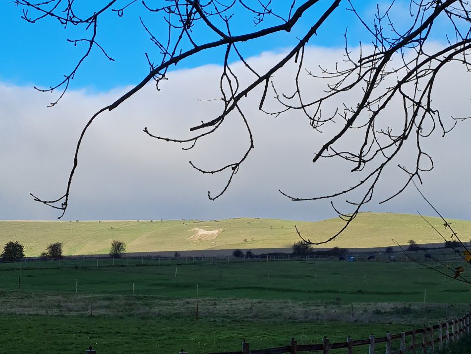 2021-11-23 46 Pewsey Downs.jpg