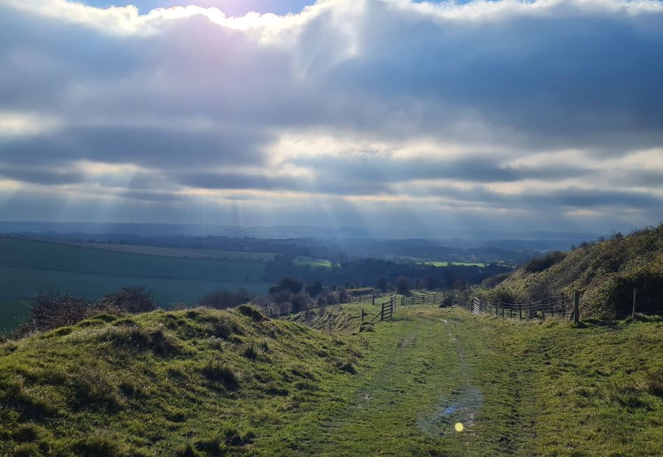 2021-11-23 48 Pewsey Downs.jpg
