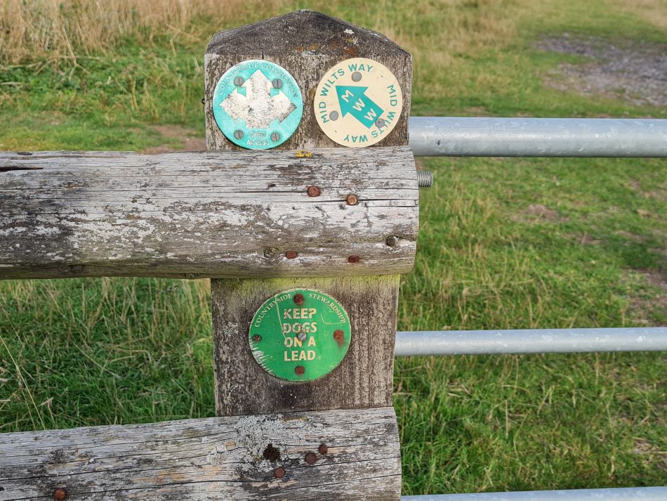 2022-09-20 03 Pewsey Downs.jpg