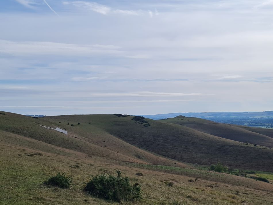 2022-09-20 09 Pewsey Downs.jpg