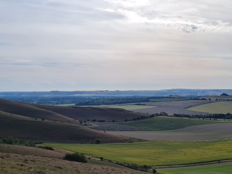 2022-09-20 10 Pewsey Downs.jpg