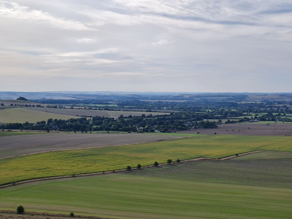 2022-09-20 11 Pewsey Downs.jpg