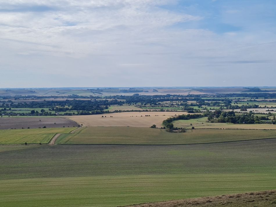 2022-09-20 12 Pewsey Downs.jpg