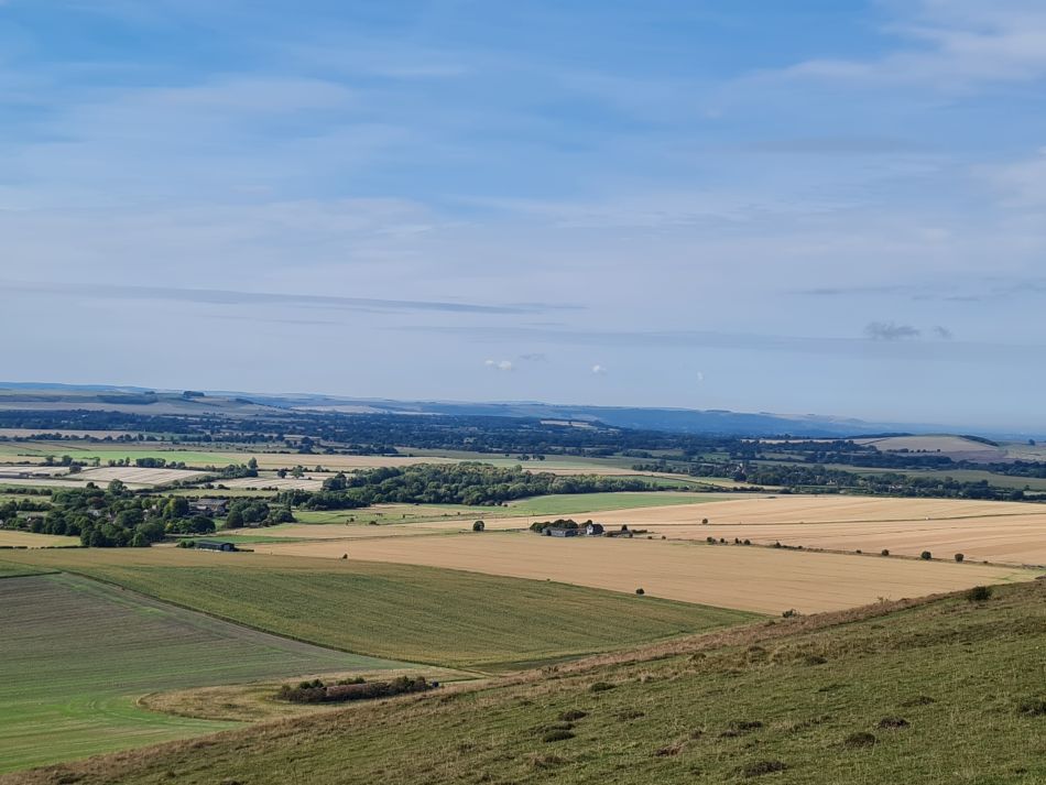 2022-09-20 13 Pewsey Downs.jpg