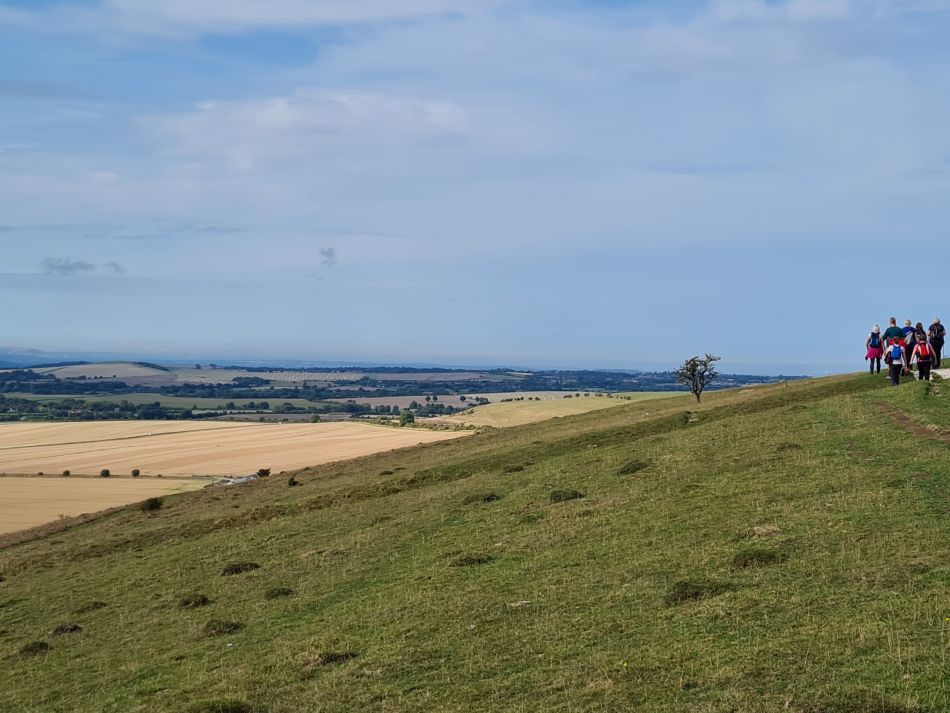 2022-09-20 14 Pewsey Downs.jpg