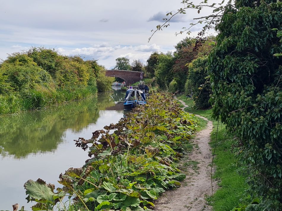 2022-09-20 25 Pewsey Downs.jpg