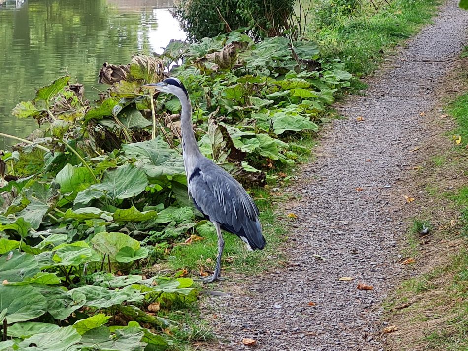 2022-09-20 35 Pewsey Downs.jpg