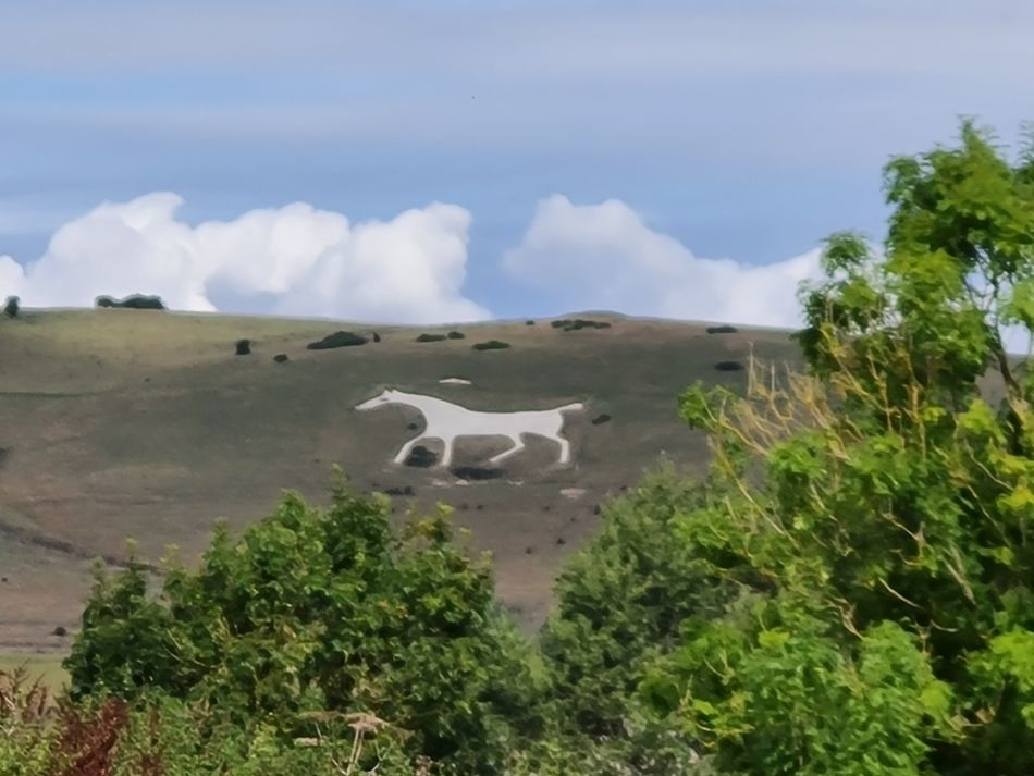 2022-09-20 37 Pewsey Downs.jpg