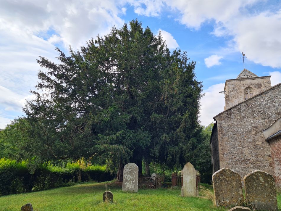 2022-09-20 41 Pewsey Downs.jpg
