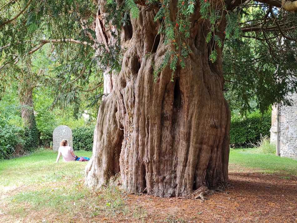 2022-09-20 42 Pewsey Downs.jpg