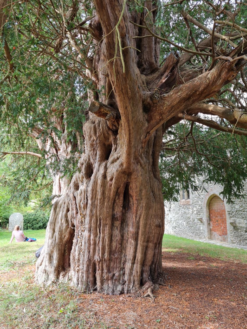 2022-09-20 43 Pewsey Downs.jpg