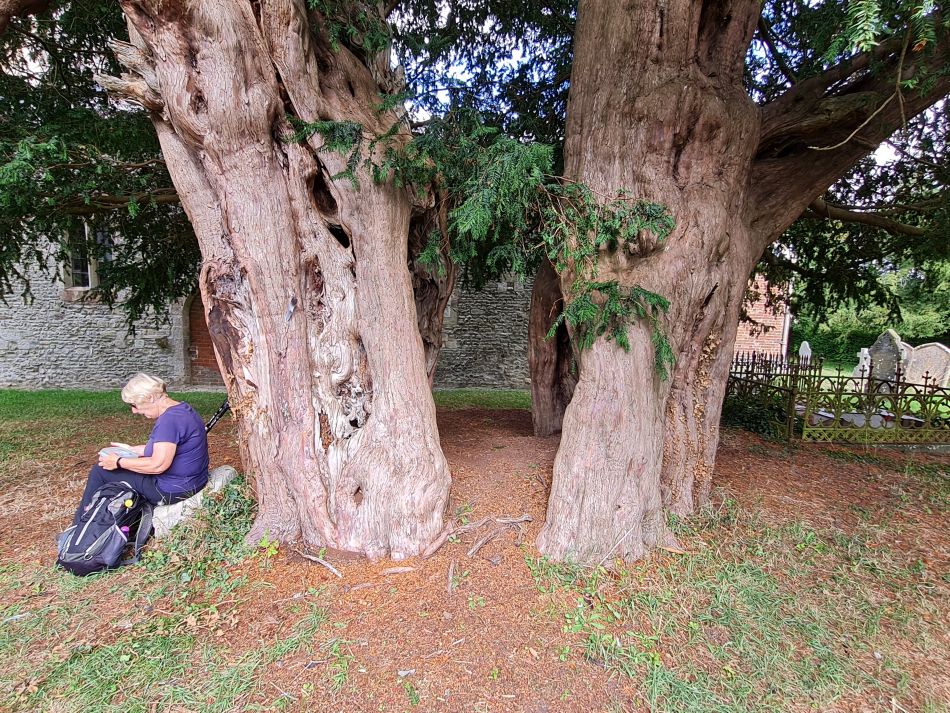 2022-09-20 44 Pewsey Downs.jpg