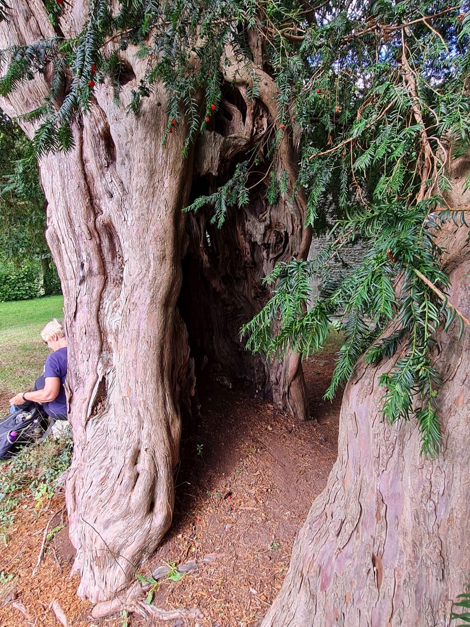 2022-09-20 45 Pewsey Downs.jpg
