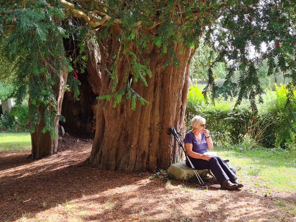 2022-09-20 47 Pewsey Downs.jpg