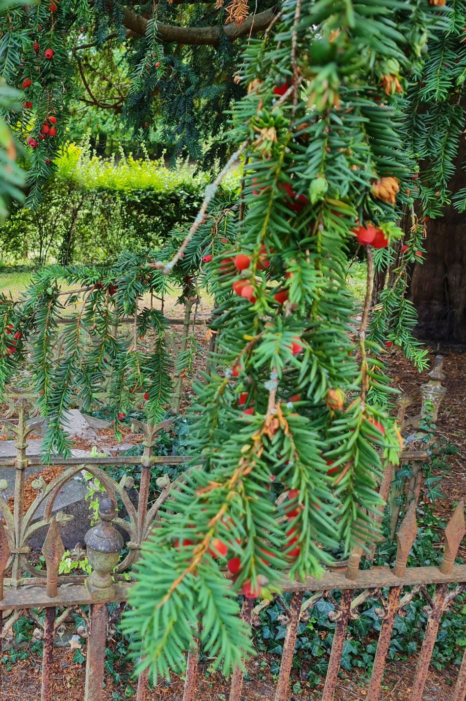 2022-09-20 57 Pewsey Downs.jpg