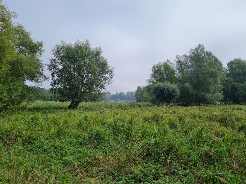 2022-09-11 05 Framlingham.jpg