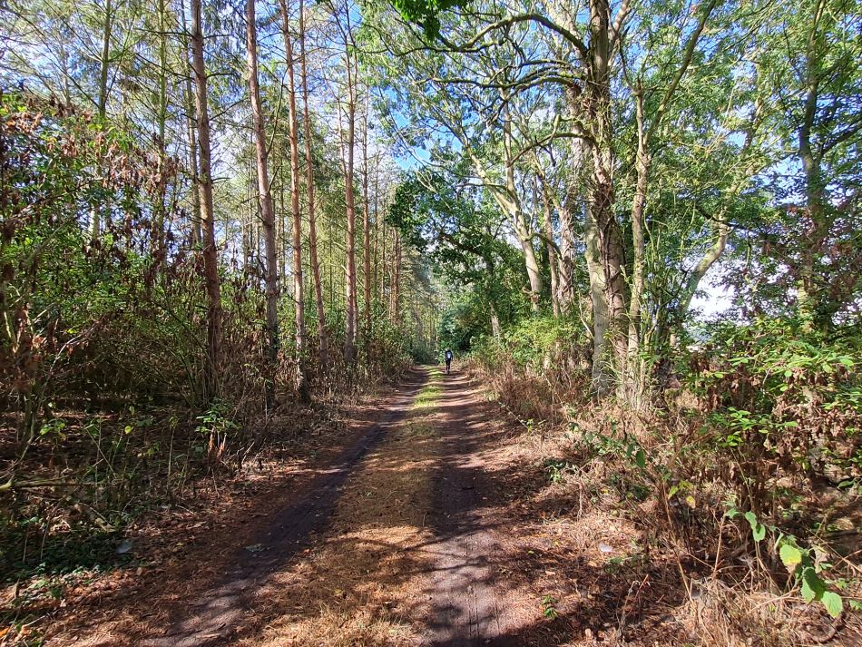 2022-09-11 13 Framlingham.jpg