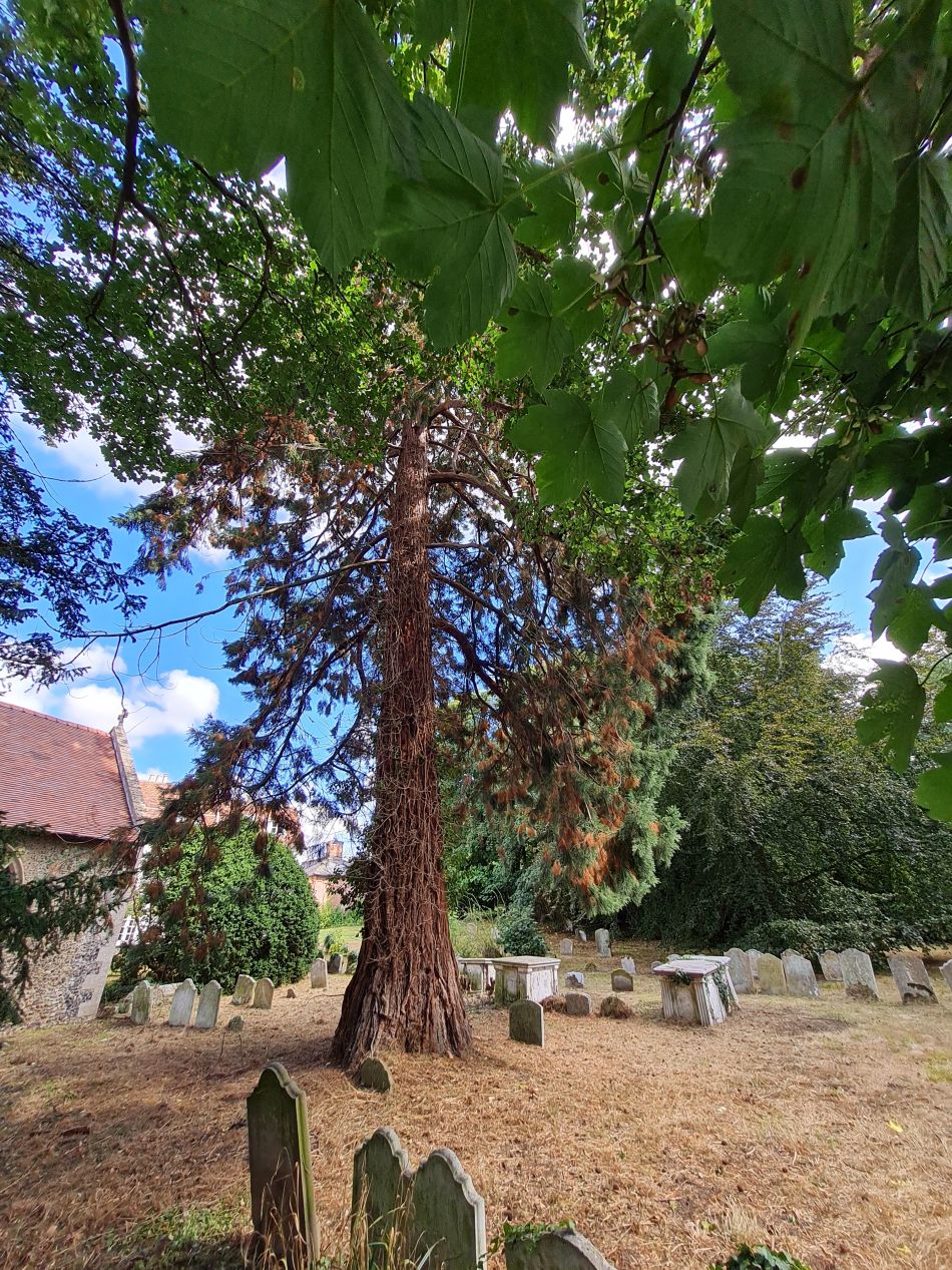 2022-09-11 25 Framlingham.jpg