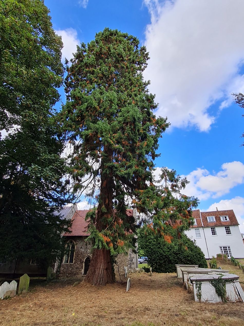 2022-09-11 26 Framlingham.jpg