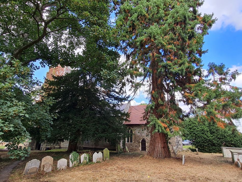 2022-09-11 27 Framlingham.jpg